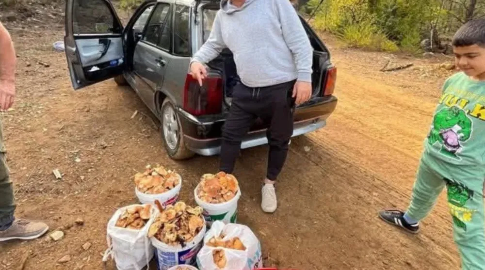 Babasının anısına mantar toplayıp mahalleliye dağıtıyor